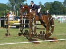 ITHAUREL - CIC** Haras du Pin